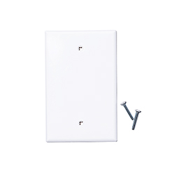 Blank wallplate white